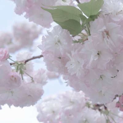 萧县FurryQQ群介绍